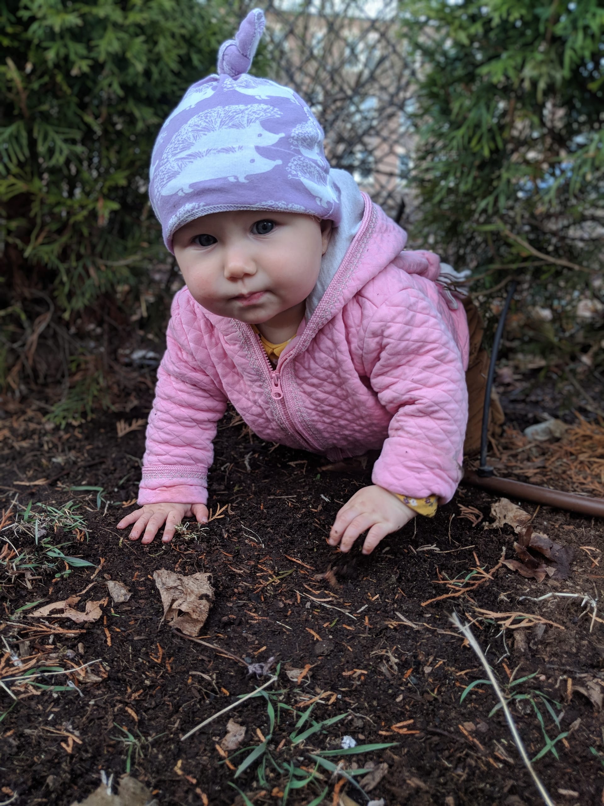 Child exploring nature materials at Bonsai
