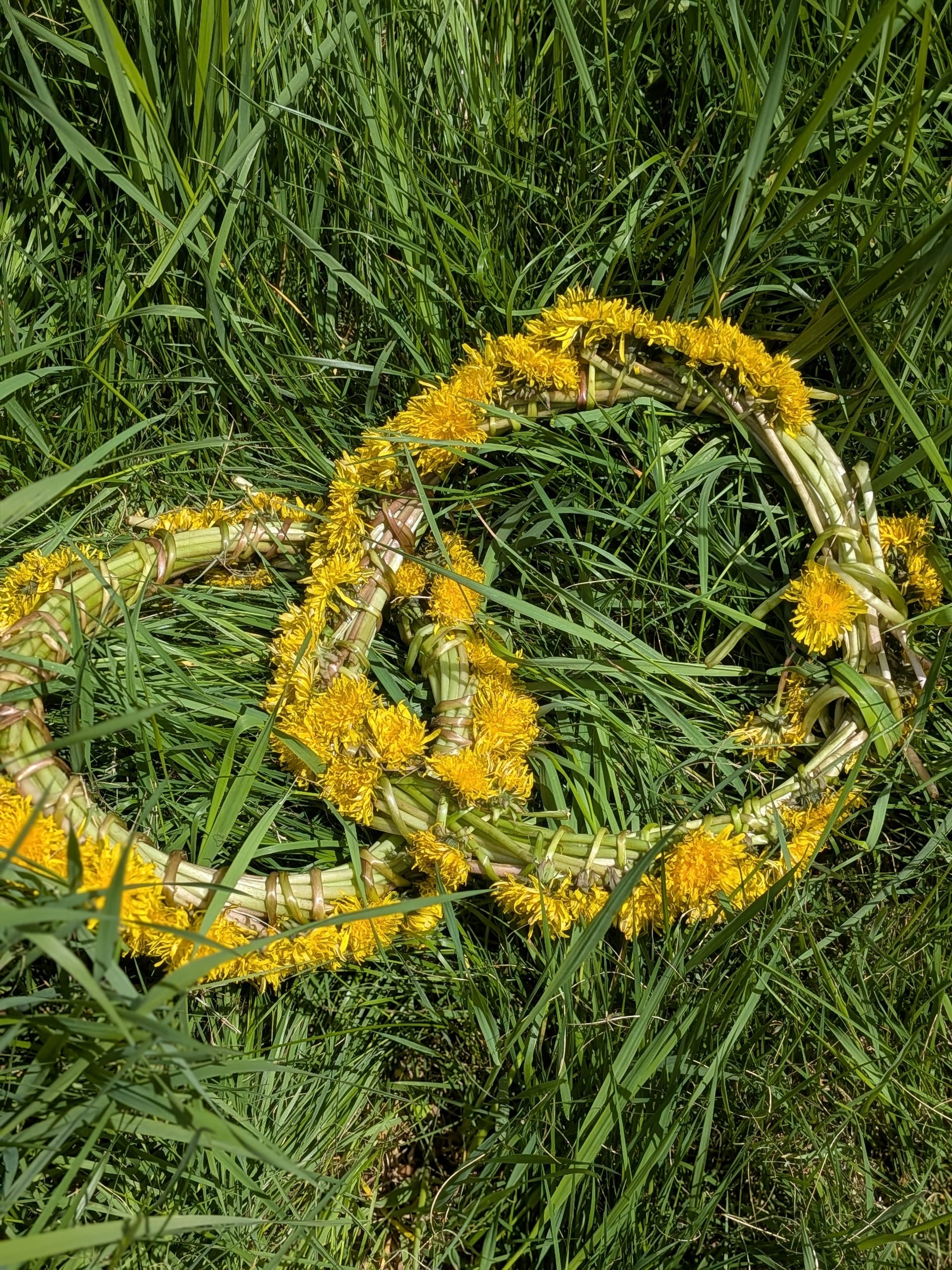 Yuliya, founder of Bonsai Learning Academy